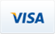 visa card